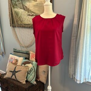 Women’s the Limited L top